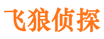 曲阜市私人侦探